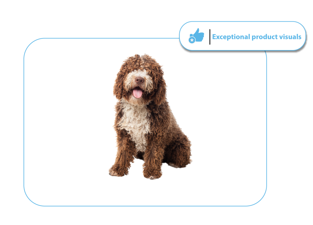 Image masking to preserve fine details of fluffy dog fur for a product photo.