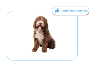 Image masking to preserve fine details of fluffy dog fur for a product photo.