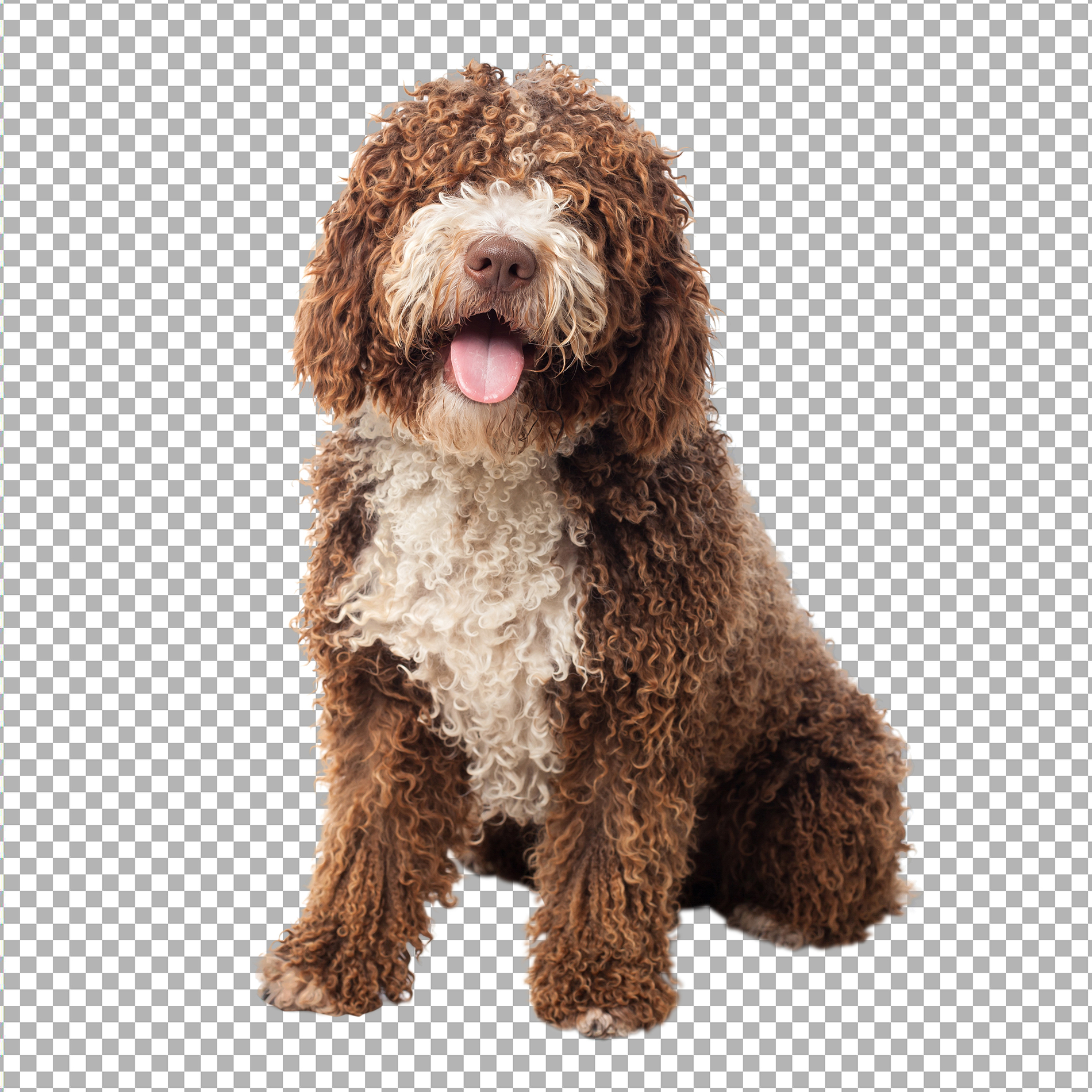 Image masking after - photo 03